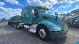 Florida Only Trucking Jobs